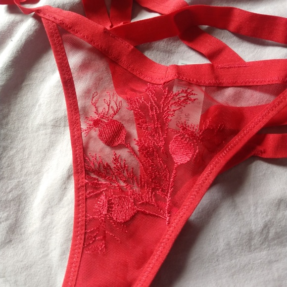 Thistle and Spire Verona Bodice & Thong - Dahlia - Picture 3 of 5